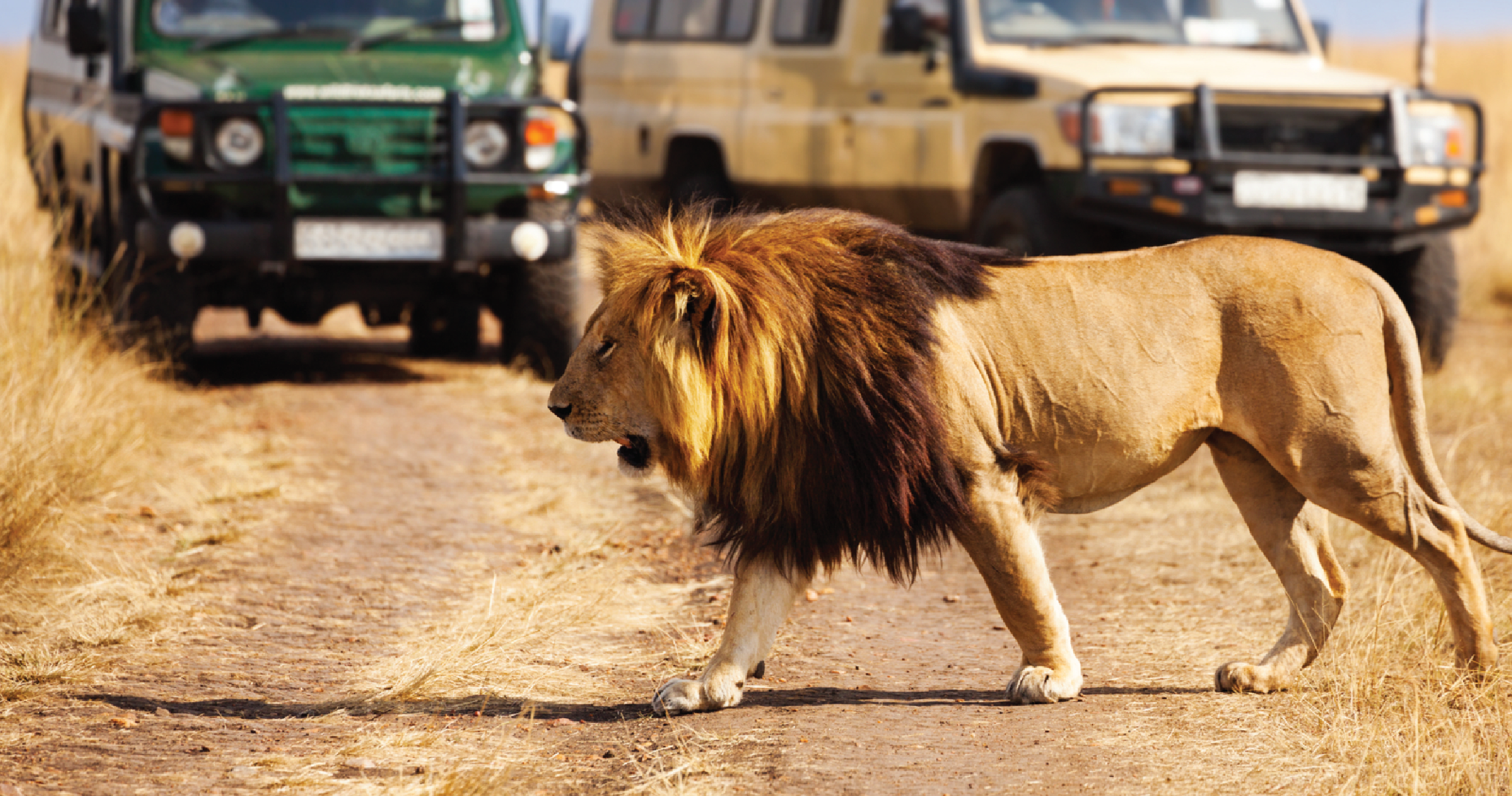 Inland safari tour itenaries